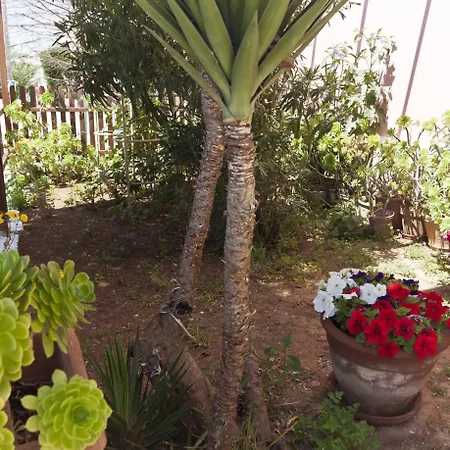 Hotel Cala Bona Y Mar Blava